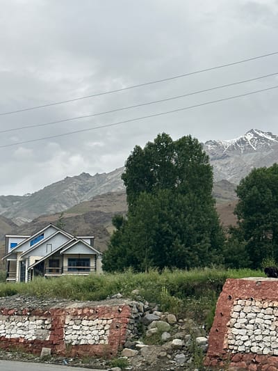The image depicts a residential house with a gray facade and blue window frames situated on a grassy slope in Dras, India. The house has a modern design with multiple stories and balconies. Behind the house, a range of mountains rises, with snow-capped peaks visible in the distance. Several large, mature trees with dark green foliage are scattered throughout the landscape. In the foreground, a low wall constructed of stones and red plaster separates the property from a road. The sky is overcast and gray, suggesting a cloudy day. A dark-colored animal, possibly a yak, is visible on the stone wall in the far right of the frame. Power lines stretch across the sky in the upper portion of the image.