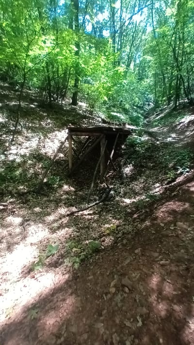 A rustic, handmade wooden shelter constructed from branches and logs is situated in a sun-dappled forest. The shelter appears to be on a sloped terrain covered with fallen leaves. The surrounding environment consists of dense green foliage and trees, indicative of a woodland area. The lighting suggests it is daytime, with sunlight filtering through the canopy. No people or animals are visible in the image. The shelter is approximately at ground level, nestled between trees and undergrowth.