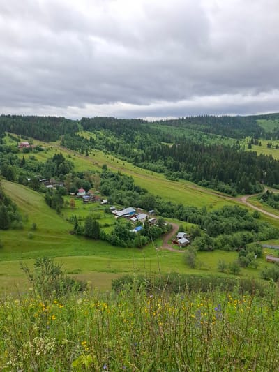 This is a scenic, high-angle, full outdoor shot of a rural landscape in the city of Sim, Russia, under a cloudy sky. The foreground is filled with lush, green vegetation and a variety of wildflowers, including yellow and blue varieties, with thin, dry stalks and some green leaves.
Beyond the foreground, a gentle slope descends into a valley. Scattered across the valley are several small buildings, indicative of a rural settlement. Some of these structures have visible roofs in various colors, including blue, red, and grey. The buildings are nestled amongst dense green trees and fields. A dirt road winds through the settlement and connects to a larger, winding dirt road visible further up the hill.
A distinct feature of the landscape is a set of yellow pipelines or cables running along the contours of the hills, interspersed with more green fields and dense coniferous forests. The forests cover the undulating hills, creating a textured backdrop that extends towards the horizon. The overall impression is one of a tranquil, rural setting with evidence of human habitation and infrastructure within a natural, verdant environment.