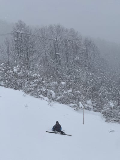 A skier sits on a snowy slope, skis parallel, facing the viewer. Trees covered in snow occupy the left side of the frame, fading into a gray, foggy background. The snow-covered ground extends to the right of the skier, interrupted by a thin brown pole. The scene evokes a sense of quiet solitude amid the winter landscape.