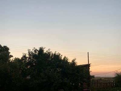 This is a wide shot of an outdoor scene, likely in the village of Rakity, Russia, at dusk. The sky transitions from a pale blue at the top to a soft peach and pink near the horizon. A cluster of dark green trees dominates the left and center of the frame, partially obscuring a rustic wooden structure on the right. This structure appears to be a small building, possibly a shed or part of a house, with a weathered wooden exterior and a sloped roof. A wooden fence, also looking aged, runs along the right side of the image, separating the foreground from a more distant, open field. Power lines are visible strung between poles, stretching across the sky. No people are present in the image.