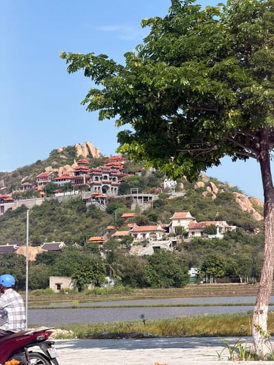 This landscape image, taken on a clear, sunny day, showcases a verdant mountain slope dotted with traditional buildings, characteristic of Ninh Chu Ward, Vietnam.

In the foreground, a large, leafy green tree dominates the left side of the frame, with its foliage extending upwards and a thick tree trunk spanning the top edge. To the far right, a long, narrow body of water, possibly a canal or flooded rice paddy, runs parallel to a rustic path or walkway. In the bottom right corner, a person wearing a blue helmet and a plaid shirt is partially visible, standing next to a red motorcycle.

The mid-ground and background are dominated by a lush green mountain or hill, covered in dense trees and shrubs, interspersed with large, natural rock formations. Numerous buildings are constructed into the hillside, featuring distinctive orange-red tiled roofs, light-colored walls, and multi-tiered architectural designs with balconies and archways. These structures appear to be part of a temple complex or traditional village. Visible on one of the buildings is text that reads "TRUNG SƠN CỔ TỰ," which translates to "Trung Son Ancient Pagoda" or "Temple."

The scene is bathed in bright daylight under a clear blue sky, suggesting pleasant weather. The overall impression is one of tranquility and natural beauty intertwined with cultural heritage, typical of a serene Vietnamese landscape.