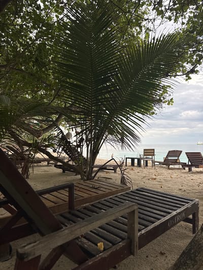 The image captures a tropical beach scene in Ukulhas, Maldives, framed by lush foliage and a cloudy sky. A large, vibrant green palm frond dominates the left side of the foreground, with other dense green trees visible behind and above it.
On the sandy beach to the right, several wooden beach chairs or loungers are arranged, facing the ocean. One prominent wooden chair in the immediate foreground clearly displays the word "OSTROV" in white lettering on its top rail. Further down the beach, additional wooden chairs are positioned, leading towards the calm, light blue ocean.
The water stretches to a horizon line under an overcast sky, with a small boat visible in the distance. The lighting suggests daytime, possibly early morning or late afternoon, with diffused light from the cloudy conditions. The overall scene evokes a peaceful and relaxing atmosphere, characteristic of a tropical island getaway.
