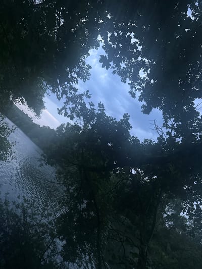 This is a photograph taken from a low angle, looking upwards through dense foliage towards a cloudy sky and a body of water. The trees are silhouetted against the sky, with the leaves forming an irregular frame around the central opening. The water appears to be a lake or river, with ripples on its surface. In the distance, across the water, there is a treeline and a faint haze. The image has a somewhat moody and natural aesthetic. The location is not specified in the image or context, therefore it cannot be definitively placed in Ludwigsburg, Germany.