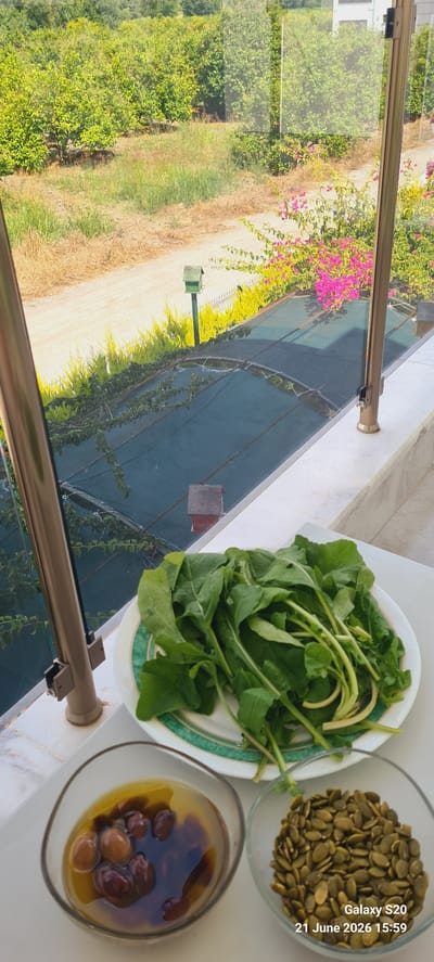 A plate of arugula greens sits on a white surface, next to two small glass bowls. One bowl contains olives in oil. The other bowl contains pumpkin seeds. In the background, a green mesh covers a structure. Beyond that, a dirt road winds through a landscape of trees, some with green leaves and others with yellow leaves. Pink and yellow flowers bloom along the side of the road. A small green birdhouse is mounted on a post near the road. The scene is outdoors, suggesting a patio or balcony overlooking a garden or rural area. The bottom right corner of the image displays a timestamp: "Galaxy S20 21 June 2026 15:59".
