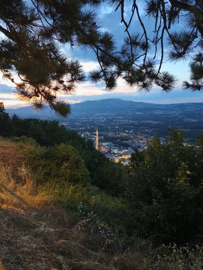 This is a high-angle, wide shot photograph taken at dusk overlooking the city of Bojano, Italy. In the foreground, pine branches with needles and cones are silhouetted against a blue and orange sky, partially obscuring the view. The middle ground features a densely wooded hillside with trees and undergrowth, with dry grass and plants in the immediate foreground.
Beyond the trees, the city of Bojano spreads across a valley. Buildings are visible, with many illuminated by artificial lights, suggesting a night view or twilight. A prominent, tall, slender structure, possibly a bell tower or a modern tower, is illuminated with yellow light and stands out in the center of the city. The landscape beyond the city consists of rolling hills and mountains, receding into the distance and bathed in the soft, twilight hues of the sky. The overall atmosphere is tranquil and scenic, capturing the transition from day to night.