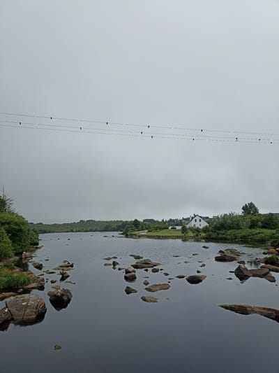 The image captures a serene, overcast day in Annagry West, Ireland, overlooking a tranquil body of water. In the foreground, numerous large, irregularly shaped rocks are scattered in and around the water, some partially submerged, others emerging from the dark, reflective surface. The water itself is calm, with a deep, muted blue hue.

Beyond the water, a verdant shoreline is visible, lined with dense green bushes and trees. Further inland, rolling hills stretch towards the horizon, covered in a patchwork of green grass and dotted with sparse trees and a few small buildings. A prominent white house with a dark roof stands out against the landscape, situated on a slight rise. Several power lines stretch horizontally across the upper portion of the image, with small, dark insulators visible at regular intervals, and at least three small birds are perched on these lines.

The overall atmosphere is one of quiet natural beauty, enhanced by the soft, diffused light of the cloudy sky, which casts a gentle and uniform illumination over the entire scene. No people are present in the image.