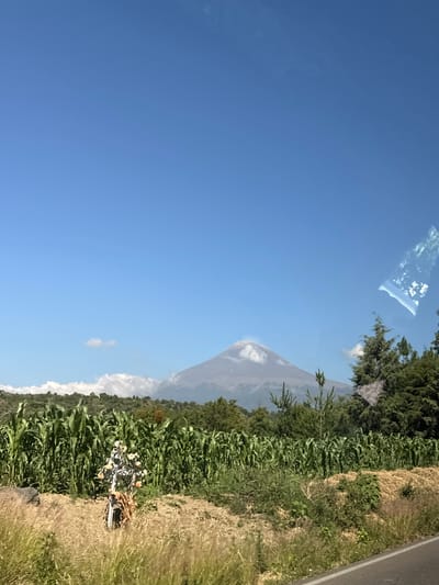 A distant, hazy volcano dominates the background of this outdoor daytime scene. In the midground, a dense field of tall green cornstalks stretches horizontally across the image. In front of the cornfield, a roadside shrine with flowers is visible. The foreground consists of dry, brown grass and a paved road on the right. The sky is clear and blue with a few wispy clouds. The location is San Buenaventura Nealtican, Mexico.