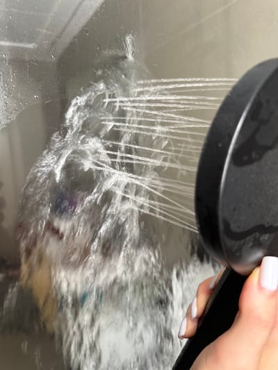 A person's hand with white-painted fingernails holds a black showerhead, from which water streams down. The water is showering a dog, which appears to be a light gray and white breed, possibly a Samoyed or a similar fluffy dog. The dog's face is mostly obscured by the water, but its body is visible, covered in suds and lather. The scene takes place in a shower or bathing area, as indicated by the tiled surface and the spray of water. The lighting suggests it is daytime, possibly indoors. The overall impression is of a pet being bathed.