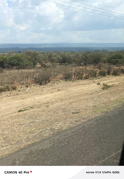 The image captures an expansive, arid to semi-arid landscape located in Kitengela ward, Kenya, under a partially cloudy sky. The foreground features a segment of a dark gray asphalt road, textured and appearing in the bottom right, alongside a strip of light brown, dry earth with sparse, desiccated vegetation and occasional green patches. A piece of white debris is visible on the ground in the mid-left. The midground extends with gently undulating terrain, densely populated by scattered shrubs and small trees, many with dry, light green to brown foliage. In the far background, a hazy, blue-grey horizontal line suggests distant hills or mountainous topography. Overhead, multiple parallel black utility lines traverse horizontally across the upper sky. The sky is marked by white and grey cumulus clouds against a lighter blue backdrop. No individuals or specific actions are discernible within the static scene.