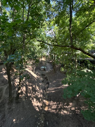 The image depicts a sun-dappled forest path in a wooded area, possibly in Буйніцкі сельскі Савет, Belarus. The scene is dominated by lush green trees with their leaves creating a canopy overhead. Sunlight filters through the leaves, casting dappled shadows on the earthy path below. The path appears to wind downwards, with uneven terrain and some exposed roots.
In the middle distance, nestled amongst the trees, is a small, light-colored structure with a dark roof, resembling a shed or a small shelter. Its purpose is unclear, but it adds a point of interest to the otherwise natural landscape. The overall impression is one of a tranquil, outdoor setting, likely experienced during daylight hours given the strong sunlight and shadows. The weather appears to be clear and pleasant, conducive to exploring a natural environment. There are no people visible in the image, and no text is discernable. The image captures a moment of quiet beauty in a wooded locale.