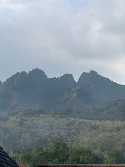 The image depicts a hazy mountain landscape with a prominent, jagged mountain peak in the background. A single bird is captured in flight against the overcast sky, positioned to the right of the main peak. The mid-ground is characterized by a dense, light-colored forest, possibly flowering trees, partially obscured by mist. The foreground shows the roofs of several buildings, one with dark, tiled shingles and another with a red roof. The overall impression is a serene, slightly muted natural scene with man-made structures at the edge of the frame, suggesting a location on the outskirts of a populated area. The scene appears to be located in Pasir Putih, Indonesia, as indicated by the provided information.