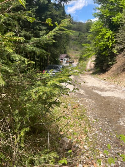 The image shows a gravel road leading uphill near Drianovo, Bulgaria. The road is bordered by foliage on both sides. A house is partially visible through the trees, with a dark-colored car parked in front of it. In the foreground, there is a coniferous plant. The sky is visible through the trees and includes clouds.