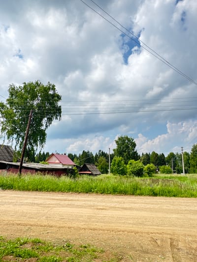 The image depicts a rural scene in the village of Borodulino, Russia. A dirt road occupies the foreground, leading into a landscape with a row of buildings and dense foliage. A large deciduous tree with drooping branches stands prominently to the left of center, near a wooden utility pole. Several buildings are visible behind a thick growth of tall green grass. One building features a red roof, and another appears to be a long, low structure with a darker roof. Further in the background, a dense line of trees forms a backdrop under a cloudy sky with patches of blue. Overhead, power lines crisscross the sky, supported by utility poles. The overall impression is one of a quiet, perhaps somewhat neglected, rural environment on a partly cloudy day.