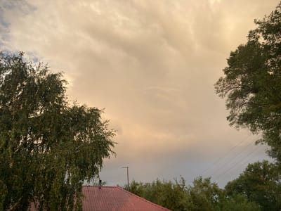 This is a photograph taken from an elevated viewpoint, looking upwards at a cloudy sky. The sky is a hazy, yellowish-orange hue, suggesting either dawn, dusk, or possibly atmospheric conditions like smoke or dust. In the foreground, framing the sky, are the dark green canopies of trees on the left and right sides of the image. The left side features a large tree with light-colored bark, characteristic of birch trees, and its branches extend towards the center of the frame. On the right, another dense tree canopy is visible.
Below the trees and in the lower portion of the image, the red, corrugated metal roof of a building is apparent. A thin, dark pole with a small horizontal element at the top is visible in the center, possibly an antenna or part of a utility pole, standing amidst a line of dense green trees that form a treeline behind the roof. Faint power lines are stretched diagonally across the upper right portion of the image, running between unseen poles and disappearing behind the trees.
The image depicts a somewhat overcast or hazy sky with scattered clouds. The overall impression is one of a natural or semi-rural setting within or on the outskirts of a settlement. Without additional context or specific landmarks, pinpointing the exact location within Ракиты, Russia is not possible solely from this image. However, the presence of trees, a residential-style roof, and power lines suggests a residential or semi-rural area.