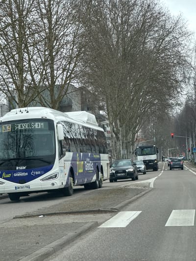 The image captures a street scene featuring a large white and blue bus in the foreground, positioned on the right side of the road. The road stretches into the distance, with a line of traffic, and is bordered by trees on the left.
The bus, which occupies a significant portion of the right side of the frame, is primarily white with blue and yellow graphical elements on its side, bearing the prominent branding "fluo" and "Grand Est". Smaller text visible on the front of the bus includes "Irizar" and "CTBR". Its license plate reads "GW-341-YD". The destination sign above the windshield displays partial text that appears to be "SESSOLSHEIM". The bus seems to be stationary or moving slowly, indicated by the stopped traffic ahead. The road surface immediately next to the bus shows white markings, including sections of what look like pedestrian crossing stripes.
Behind the bus, a queue of vehicles is visible in the same lane. An Audi car is directly behind the bus, followed by a white truck, and then several other cars further down the road. In the distance, a traffic light is clearly visible, illuminated red, suggesting that the vehicles are halted and waiting for the light to change.
To the left of the road, a continuous line of trees with bare, intricate branches extends along the entire length of the street, implying either a winter or early spring season. The sky is overcast, providing a soft, diffused natural light to the scene. Hints of buildings are partially discernible through the dense network of tree branches in the background. The overall impression is that of a typical daytime urban or suburban thoroughfare, momentarily paused due to traffic.