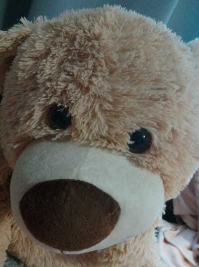 A close-up, low-angle, vertical shot captures the face of a light brown, plush teddy bear. The bear's fur is long and fluffy, with strands of lighter and darker brown visible. Its eyes are dark, round, and glossy, with visible reflections. The bear's snout is a lighter beige color and prominent, with a dark brown, oval-shaped nose. The background is blurry and appears to be an indoor setting, possibly a room with blue and pink fabric visible. The teddy bear is the sole subject of the image. No specific location in Wedel, Germany, can be determined from the provided image.