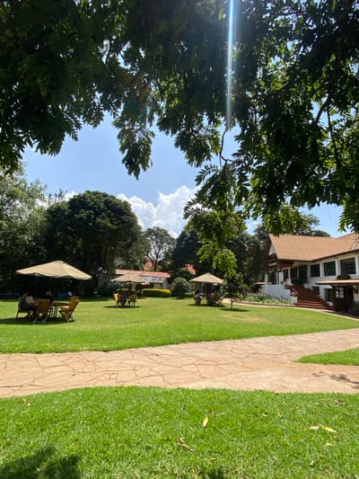 This image captures a serene and verdant outdoor setting at Riara Ridge, Kenya, under a bright, sunny sky. The scene is dominated by a meticulously maintained green lawn, traversed by a winding pathway made of light-colored flagstones.
The foreground and left side are framed by the dense foliage of large trees, through which bright sun flares are visible, indicating clear, sunny daylight. In the mid-ground, several outdoor seating arrangements are scattered across the lawn. Each setup includes a light-colored umbrella providing shade, along with tables and wooden chairs. A few indistinct figures of people can be seen seated at these tables, suggesting they are relaxing, dining, or socializing outdoors.
In the background, a multi-story building with a warm brown roof and white walls is visible, partially obscured by trees. Its architectural style suggests a lodge, hotel, or resort property, complementing the tranquil garden environment. The sky above is a clear blue, dotted with large, fluffy white cumulus clouds.
The overall impression is one of peace and relaxation, characteristic of a pleasant outdoor venue or resort in a sunny climate. No visible text is present in the image.