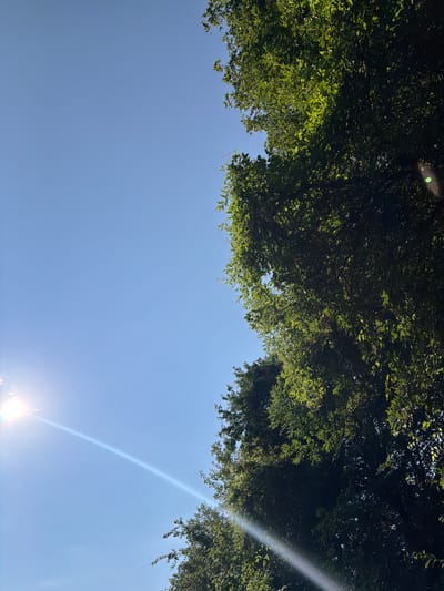 A bright sun, with a visible lens flare, shines on a clear blue sky. The sun is located in the lower left quadrant of the image. Green foliage from trees dominates the right side of the frame, casting shadows and creating a dappled effect. The trees appear lush and full, suggesting a time of year with abundant greenery, possibly spring or summer. The image captures an outdoor scene, likely in a park or a residential area with mature trees. The setting of Pravets, Bulgaria, suggests an urban or suburban environment with access to natural elements.