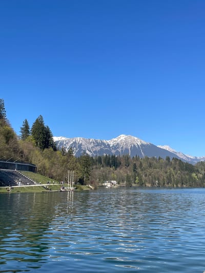 The image captures a landscape at Lake Bled in Slovenia. On the right, the lake's surface reflects the clear sky, disturbed by gentle ripples. A shoreline runs parallel to the lake's edge, where a grassy slope is populated with people, some seated and others engaged in activities. The background features a line of trees that reach up to the base of snow-capped mountains under a cloudless blue sky. A staircase structure is visible along the grassy slope, suggesting a man-made element in the natural environment.