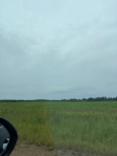 This is a photograph taken from a vehicle, looking out at a rural landscape in Забегалово, Russia. The image is oriented vertically, suggesting the photo was taken in portrait mode or has been rotated.

The primary subjects are a vast, green grassy field and a hazy, overcast sky. The field stretches horizontally across the right side of the image, its tall grass appearing windblown and somewhat unkempt. Towards the far edge of the field, a dense line of dark green trees forms a forest, marking the boundary of the open land. The sky is a uniform, muted gray, indicating overcast or cloudy weather, and the light is diffused, suggesting it is either early morning or late afternoon, or that the sun is obscured by clouds.

In the bottom right corner, a portion of a black car mirror is visible, reflecting a distorted glimpse of the car's interior. This detail confirms the perspective is from inside a vehicle, likely a car, and suggests the photo was taken while stationary or moving slowly. The ground visible to the right of the field appears to be a dirt or gravel road.

There is no discernible text in the image. The overall mood is calm and perhaps a bit melancholic due to the overcast sky, but also peaceful, evoking a sense of being in the countryside. The scene captures a typical, undeveloped rural setting.