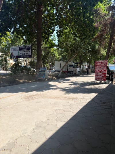 The image captures a street scene in Gulistan, Uzbekistan, on a sunny day with dappled shade cast by numerous trees lining the thoroughfare. A portion of a white truck with a red stripe is visible on the left. In the mid-ground, a white truck is parked. To the right, a black car is parked.

Prominently displayed are two signs. On the left, a large banner advertises the "UNIVERSITY OF INNOVATION TECHNOLOGIES" with contact numbers "+77 274-00-12" and "+77 275-00-12". A smaller sign below it appears to list services.

On the right side of the image, a red A-frame sign stands on the sidewalk. This sign lists various services, including "TAKILFNOMALAR", "TEZKOR SURAT", "VIDEO MONTAJ", "DISKA YOZISH", "KSEROKOPIYA", "LAMINAT", "KITOB MUQOVAlash", and "VIZITKA". These are likely photography, printing, and related services.

The ground is paved with concrete and decorative interlocking stones. The environment suggests an urban setting with commercial activity. A person is visible standing near the white truck in the mid-ground, appearing to be a man in dark clothing. The overall impression is one of a typical street scene in a city, likely a commercial district, with available services advertised to passersby.