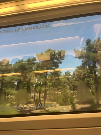 The image depicts an exterior view from inside a rapidly moving vehicle, likely a train or bus, looking through a window. The view is framed by the vehicle's light-colored interior window casing. On the upper portion of the windowpane, the Spanish text "VENTANA DE EMERGENCIA" (Emergency Window) is visible in reverse, indicating it is printed on the exterior or an inner layer of the glass. Significant reflections are present on the window, including blurred yellowish horizontal structures and a distinct, dark, multi-colored object (green, yellow, black) with angular features, possibly a bag or equipment from the vehicle's interior.
The external environment, heavily motion-blurred horizontally, consists primarily of a dense coniferous forest, characterized by numerous green pine trees and dry, light-brown ground cover under a clear blue sky. No human figures are visible.
This scene is consistent with a transit route (e.g., train line or highway) passing through the natural forested areas surrounding Manzanares el Real, Spain, specifically within or bordering the Parque Regional de la Cuenca Alta del Manzanares. A precise street or specific location within the municipality cannot be determined from the visual evidence.