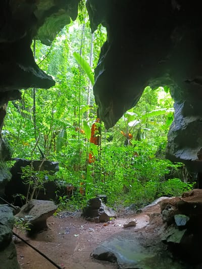 View from inside a cave in Ban Pak Ra, Thailand. The foreground is the cave entrance, a dirt floor, and rock formations. Beyond the cave entrance is lush green vegetation including trees, vines, and large-leafed plants. Light streams through the trees. There are no people visible.