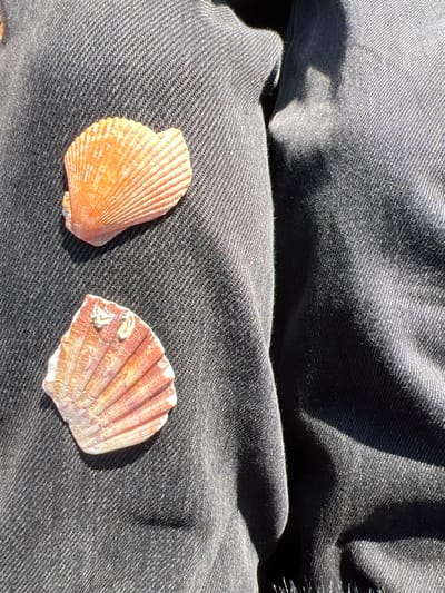 The image displays a close-up, top-down perspective of two bivalve seashells resting on a dark, likely black or dark grey, textile surface, located in Worthing, United Kingdom. The textile exhibits a distinct diagonal twill weave, characteristic of denim or a similar heavy cotton fabric, and shows natural folds and creases.

The upper shell is an intact, orange-pink bivalve, consistent with a scallop, featuring prominent radial ridges. It is oriented with its convex side upward and casts a sharp shadow to its lower right.

The lower shell is a reddish-pink and white bivalve, also resembling a scallop valve, which appears to be a single, possibly weathered, shell. This shell also displays radial ridges and has small white calcareous deposits or growths near its hinge. It is positioned diagonally, casting a distinct shadow to its lower right.

Both shells are illuminated by strong, direct sunlight, which creates intense highlights on their surfaces and casts well-defined shadows onto the underlying fabric. No individuals are visible, but the arrangement of the shells on what appears to be worn clothing implies recent human interaction with these objects.