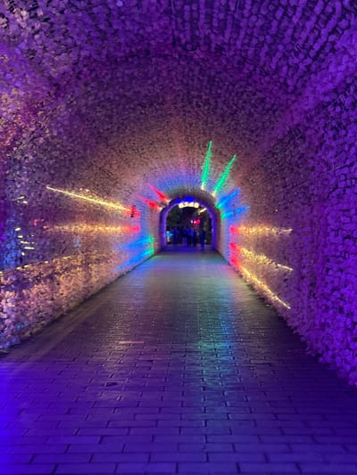 A tunnel lined with artificial flowers is illuminated with colorful lights in Wulingyuan, China. The flowers create a dense, textured surface on the tunnel's ceiling and one side. A brick wall forms the other side. The lights shine in green, blue, red, and yellow. People are visible in the distance.