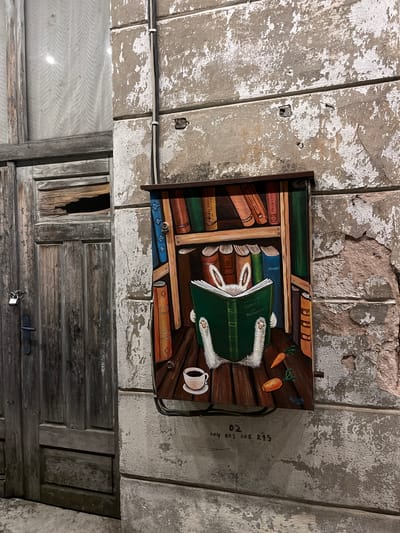 The image shows a close-up view of a mailbox painted with a mural of a rabbit reading a book in a library. The mailbox is attached to a weathered, textured wall. To the left of the mailbox is a portion of a rustic wooden door, which appears to be old and worn, with a padlock on it. The wall itself is rough and has patches of peeling paint, revealing different layers of plaster and brick underneath. The mural on the mailbox is colorful and depicts a whimsical scene with a rabbit dressed in white fur, its hind legs visible as it sits with its paws on an open green book. The book is surrounded by shelves filled with painted books. A cup of coffee and two carrots are also depicted on the wooden floor of the painted library. Faint numbering, possibly a serial number or code, is visible below the mailbox on the wall. The overall impression is that of an artistic embellishment on an otherwise aged urban facade, situated in a location that suggests a historic or less-maintained area of the city. The specific location is identified as Belogradchik, Bulgaria.