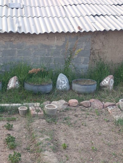 The image shows an outdoor scene in Naryn City, Kyrgyzstan, likely during the daytime with bright lighting suggesting it's not evening. The foreground is a patch of dry, dirt ground with some small green plants sparsely growing. A line of rocks and bricks borders this area, separating it from a patch of grass and several decorative elements.

These decorative elements include two small, cylindrical planters, one of which is partially obscured by bricks. Further back, there are three larger, grey planters made from what appear to be repurposed tires, filled with grass or soil. Arranged amongst these planters are several large, grey stones, some of which are painted with white, abstract patterns resembling tribal or symbolic designs. One stone has a white leaf-like motif, another a swirling pattern, and the third features a sun-like symbol. A dried, brown plant with seed-like structures is visible growing in one of the tire planters.

Behind the planters and stones, a wall made of grey concrete blocks forms the background. Above the wall, a corrugated metal roof with some visible repairs and damage is prominent. The overall setting appears to be a humble, possibly rural or semi-rural, outdoor area, perhaps a garden or yard. There are no people visible in the image, and the scene is still and quiet. The weather appears to be fair, given the bright lighting.