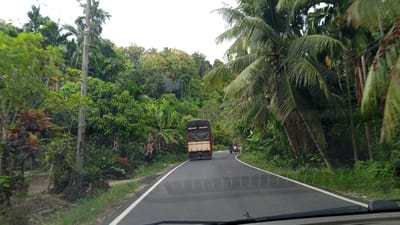The image captures a roadside view in Luengbaro, Indonesia, on a cloudy day. A paved road curves through a lush, tropical environment dominated by dense green foliage and palm trees. A dark-colored truck with a covered bed is traveling away from the camera on the right side of the road. To the right of the truck, a person on a motorcycle with a sidecar is also moving away. A utility pole stands on the left side of the road, with wires extending across the scene. The vegetation on both sides of the road is thick and varied, with some reddish-brown plants visible on the left foreground. The sky is overcast, contributing to the soft, diffused lighting. The perspective suggests the image was taken from a vehicle moving along the road.