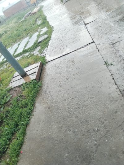 The image depicts a rainy day in Foki, Russia. The scene is dominated by a concrete sidewalk or path, slick with rainwater and displaying numerous impact rings from raindrops. To the left of the path, there is a strip of grass and weeds, interspersed with irregularly placed concrete stepping stones. A metal pole rises from the ground, surrounded by a weathered wooden frame. In the background, out of focus, are buildings, suggesting a residential or suburban area. The overall impression is one of a quiet, wet urban environment.