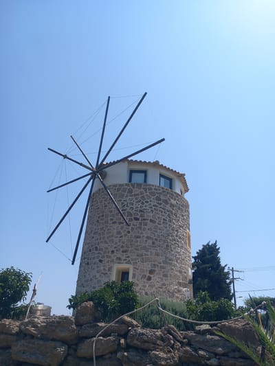The image shows a stone windmill in Platani, Greece. The windmill has a conical shape and is constructed from rough-hewn stones. It has several windows and a tiled roof. The windmill's sails are visible against a clear blue sky. In the foreground, there is a low stone wall, and behind it, there are various plants and trees, including a tall evergreen tree. A rope is strung along the top of the stone wall. The overall impression is one of a rustic, historical structure set within a natural landscape.