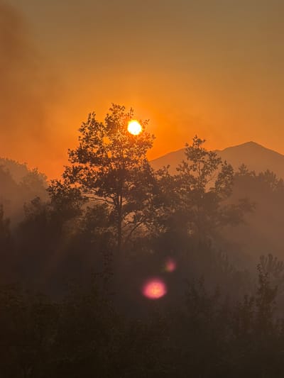 The image depicts a hazy sunset over a mountainous landscape. The sun, a bright orb, is partially obscured by the branches of a large tree in the foreground. The sky is a vibrant orange, with smoke or mist creating a diffused light. In the background, silhouetted mountains rise against the orange sky. The foreground is dominated by dense foliage, with trees and undergrowth rendered in dark tones due to the low light. Two circular lens flares, one bright yellow and the other reddish-pink, are visible in the lower-middle section of the image. The scene is likely a natural landscape, and there is no indication of the city of Kanjoši, Montenegro.