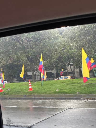 The image depicts an outdoor urban scene in Bogotá, Capital District, Colombia, viewed from inside a vehicle through a wet window.

In the foreground, a wet asphalt road surface is visible with white lane markings. A concrete curb separates the road from a grassy median or embankment. The immediate foreground is partially obscured by the vehicle's interior frame and window edge.

The midground features a sloping grassy area densely populated with numerous small flags displaying the colors of the Colombian national flag (yellow, blue, red). Some flags appear to be solid yellow. Two orange traffic cones with white stripes are also placed on the grass. Behind this grassy area, a light-colored (likely yellow) sedan is partially visible, appearing to be on a parallel or elevated road.

The background consists of dense green foliage from numerous trees, behind which a dark metal fence and parts of light-colored building structures are discernible. The sky is overcast, and the general lighting suggests daytime with diffused light, consistent with recent or ongoing rain, indicated by the wet road and haziness on the window. No individuals are visible in the frame.