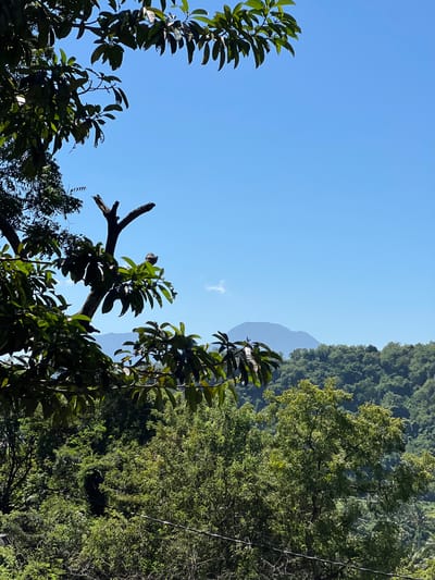 The image shows a bright, clear day with a large expanse of blue sky above a lush green landscape. In the foreground, branches of a tree with dark green leaves are silhouetted against the sky. One prominent tree in the foreground has a broken, bare branch extending upwards. Beyond the foreground trees, the landscape unfolds into rolling hills covered in dense green foliage, indicative of a tropical environment. In the distance, a hazy, blue-gray mountain range is visible beneath the sky. The scene appears to be an outdoor, natural environment, likely a hillside or mountain area, with abundant vegetation. The overall impression is one of natural beauty on a sunny day. The image is consistent with views found in and around the city of Karangasem, Indonesia, known for its verdant hills and proximity to volcanic mountains.
