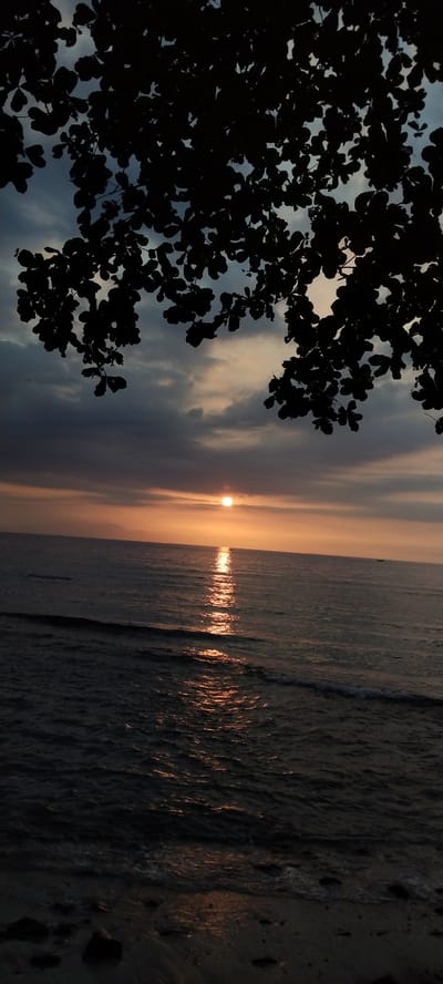 This is a photograph of a sunset over the ocean, taken from a beach in Senggigi, Indonesia. The sun, a bright orb, is low on the horizon, casting a shimmering reflection on the water. The sky is a mix of dark clouds and golden hues. Silhouetted against the sky is the dark shape of tree branches and leaves in the foreground, framing the scene. The waves gently lap at the dark sand and rocks of the beach. There are no people or animals visible in the image.