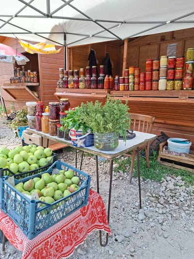 This is a forensic, matter-of-fact description of an outdoor market stall in Scoreni, Moldova. The scene is characterized by a temporary structure with a white canopy, providing shade over a wooden stall displaying a variety of preserved goods in jars. Rows of glass jars filled with colorful fruits, vegetables, and liquids are neatly arranged on shelves.
In the foreground, two blue plastic crates overflow with green apples, and a third blue crate contains green pears, some with reddish blush. These crates are placed on a table covered with a red and white patterned tablecloth. To the left, a red and white umbrella is partially visible, suggesting a larger market area.
On the table, in addition to the fruit, there are several jars of preserves, a bucket with greenery, and what appears to be a plastic bottle repurposed as a vase holding more greenery. A rustic wooden chair is positioned behind the table.
The ground is covered with gravel and some patches of grass. In the background, the wooden stall has open compartments displaying more jars of preserves. The overall impression is of a rural or semi-rural setting where local produce and homemade goods are being sold. There are no people visible in the image.