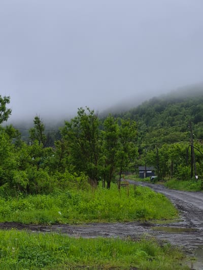 An overcast, hazy day in Uglegorsk, Russia, with a dense, green forest covering a sloping hillside. A dirt road winds through the scene, slick with puddles and mud. Sparse trees and overgrown grass line the road and foreground. In the background, a small, dark building with a metal roof sits nestled amongst the trees, with a silver car parked nearby. Utility poles and wires are visible, suggesting a somewhat remote or rural setting. The overall atmosphere is damp and subdued, with the fog obscuring the top of the hill and the distant horizon.