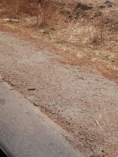 The image depicts a static outdoor scene along a roadside in Makera, Nigeria. In the foreground, occupying approximately the bottom third of the frame, is a section of dark grey, coarse-textured paved road, showing signs of wear and cracking. The bottom-left corner features a smooth, dark, curved edge, possibly indicating the frame of a vehicle from which the photograph was taken.

Adjacent to the paved road, moving towards the upper right of the image, is a reddish-brown dirt or gravel shoulder, exhibiting an uneven, granular texture and minor undulations. A dark, rectangular object, approximately 5-7 cm in length, lies on this dirt shoulder near the paved edge, positioned slightly left of the image's vertical center.

Beyond the dirt shoulder, comprising the upper half to two-thirds of the image, is an area dominated by dense, dry, light brown, and straw-like vegetation, possibly dormant grasses or low shrubs. Scattered within this dry vegetation are several lighter, thinner, vertical plant stems and numerous small, white or light-colored specks, consistent with detritus or litter. The overall environment appears dry, illuminated by direct daylight, with no human figures, animals, or active elements present.