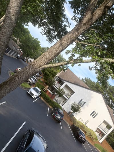 In Alpharetta, Georgia, a parking lot is situated in front of a white apartment building with dark shutters and white balconies. Several cars are parked in designated spots, including a silver sedan, a dark SUV, and a black sedan. The parking lot is paved with asphalt and marked with white lines. Lush green trees with thick trunks and branches overhang the scene, with their leaves creating dappled shade. The sky above is a clear blue with a faint rainbow visible. The image is shot from a slightly tilted angle, adding a dynamic perspective to the urban landscape.
