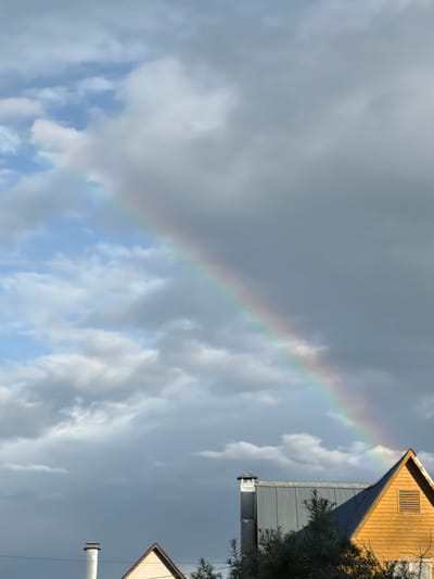This is a vertical, outdoor, eye-level shot of a rainbow in Satino-Russkoe, Russia. A rainbow arcs across a partly cloudy sky, with the upper portion of the rainbow disappearing into dark gray clouds on the right side of the frame, and the lower portion extending into brighter, blue sky filled with white clouds on the left. The bottom of the image features the rooftops of two buildings. On the left, a silver-colored metal roof with a white chimney protrudes from the frame. To the right of this, a yellow wooden house with a peaked roof is visible. The rainbow is prominently featured in the sky above the buildings.