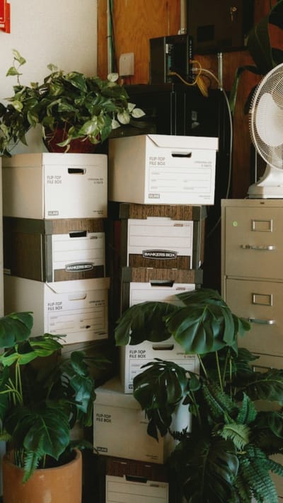 This is a close-up, eye-level, indoor shot of an office or storage area. The scene is filled with stacks of cardboard boxes, many labeled "FLIP-TOP FILE BOX" or "BANKERS BOX." Two potted plants with large, dark green leaves are prominent in the foreground and midground, with one plant in a terracotta pot. In the background, a white oscillating fan sits atop a light gray metal filing cabinet. Various electronic devices, possibly servers, are mounted on a wooden wall. The lighting is somewhat dim, creating a moody atmosphere. The image does not depict any people or actions. The location of Oreshki, Russia, is not visually ascertainable from the provided image.