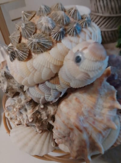 This is a close-up, vertical shot of a decorative object crafted from various seashells. The primary subject appears to be an abstract representation of a creature, possibly a fish or a sea turtle, formed by arranging and adhering shells together. The "head" of this creature is prominent, featuring a visible, dark, round "eye" made from a small, dark shell or bead, surrounded by rows of small, white, fan-shaped shells that give it a textured, layered appearance. The "body" of the creature is also composed of layered, fan-shaped shells, transitioning in color from creamy white to subtle shades of pink and purple.
The "back" or "shell" of the creature is covered with numerous small, conical shells, possibly barnacles, arranged in a dense pattern. These have a gray and white striped appearance and are clustered tightly together, forming a spiky texture.
The decorative object is placed within a woven basket, the rim of which is visible at the bottom of the frame. Other seashells are used as a base and to fill out the arrangement. Some of these larger shells have intricate patterns and textures, with shades of tan, brown, and white. One large, pale shell with visible ridges is prominently displayed in the lower right corner.
The lighting is somewhat diffuse, suggesting an indoor setting, possibly a home or a shop. There are no discernible location cues to specifically tie it to Wedel, Germany, beyond the provided context. The image is a still life, with no activity taking place. The focus is on the intricate detail and craftsmanship of the seashell artwork.