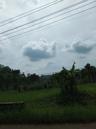 The scene depicts an outdoor landscape in Kandenuwara, Sri Lanka, under an overcast sky. The upper two-thirds of the image feature a pale grey sky with several scattered cumulus clouds. Five parallel dark utility lines traverse the upper portion of the sky, angled slightly downward from left to right. The foreground shows a narrow strip of dark pavement, likely a road, bordered immediately by an overgrown strip of tall, green grass and weeds. In the midground, an expanse of green grass extends backward, containing a partially visible concrete bench or block on the left. A cluster of banana plants with large green leaves stands near the center. Behind these, a structured agricultural area is visible, characterized by multiple rows of trellises or support frameworks, likely made of metal or wood, with additional green vegetation growing around them. The background consists of a dense line of dark green trees and foliage, partially obscuring a distant, hazy mountain range. No human or animal figures are present, and no specific actions or interactions are depicted.