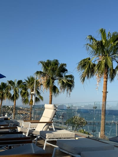 The image displays a serene outdoor scene, presented in a portrait orientation but depicting a landscape. On the left side of the frame, several vibrant green palm trees stand tall against a clear, bright blue sky. The fronds of the palm trees are full, though some show signs of drying or browning, indicating natural maturity or environmental exposure.
On the right side, an outdoor seating area is visible, likely a terrace or balcony. It features multiple light-colored lounge chairs or daybeds with cushions, arranged in a row facing the sea. A transparent glass railing, secured by metallic or chrome fixtures, runs along the edge of this area, offering an unobstructed view.
Beyond the railing, a calm body of water, presumably the sea, extends towards a distant coastline. The water appears deep blue-green, and subtle reflections can be seen on the glass barrier. The distant shore reveals scattered buildings and possibly piers or structures reaching into the water. A small, bushy tree with white flowers is visible just beyond the railing, adding greenery to the vista.
The scene is bathed in clear daylight, suggesting a sunny day, possibly late morning or early afternoon, given the crispness of the light and the absence of harsh, high-noon shadows. There is no visible human activity or discernible text in the image. The overall atmosphere is one of tranquility and relaxation, characteristic of a coastal resort setting. The location context provided is Unknown, Egypt.