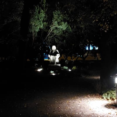 A nighttime photograph depicts the Bedřich Hrozný Monument in a park setting within Kolín, Czechia. The central subject is a light-colored, possibly stone or concrete, statue of a seated male figure, holding an object resembling a book or scroll. This statue is illuminated by at least three ground-level spotlights positioned around its base, causing it to stand out against the surrounding darkness. Lush green foliage directly behind and above the statue is also partially lit by these upward-facing lights. A dirt path, scattered with fallen leaves, occupies the foreground and extends towards the statue. On the immediate right, a contemporary-style lamppost casts a bright light onto a section of this path. The scene is otherwise enveloped in shadow due to the lack of ambient light, with dark outlines of numerous trees and bushes visible throughout the frame. In the distant background, blurred blue and yellow artificial lights indicate the presence of urban infrastructure beyond the park. No individuals are visible in the scene.