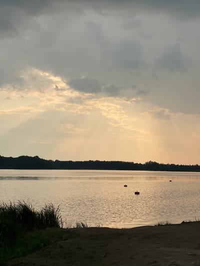 A wide shot captures a serene natural landscape featuring a tranquil body of water under a cloudy sky. The horizon is marked by a dark line of trees, suggesting a forested area. In the foreground, a sandy bank with tall grass leads down to the water's edge. Several small, dark, rectangular buoys are visible in the water, spaced apart. The sky is a mix of dark gray clouds and lighter patches where sunlight is breaking through, casting soft rays. The overall impression is one of peaceful, natural beauty. The location is identified as Zheleznogorsk, Russia.